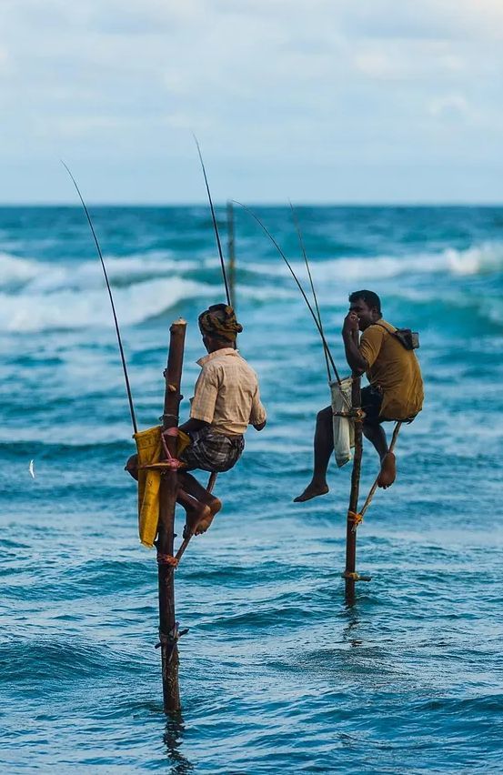 Stilt Fishermen traditional technique observation
