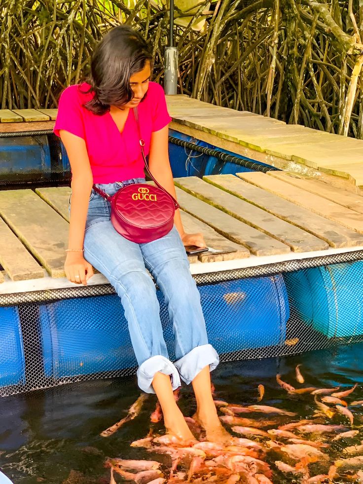 Madu River mangrove boat safari with fish therapy