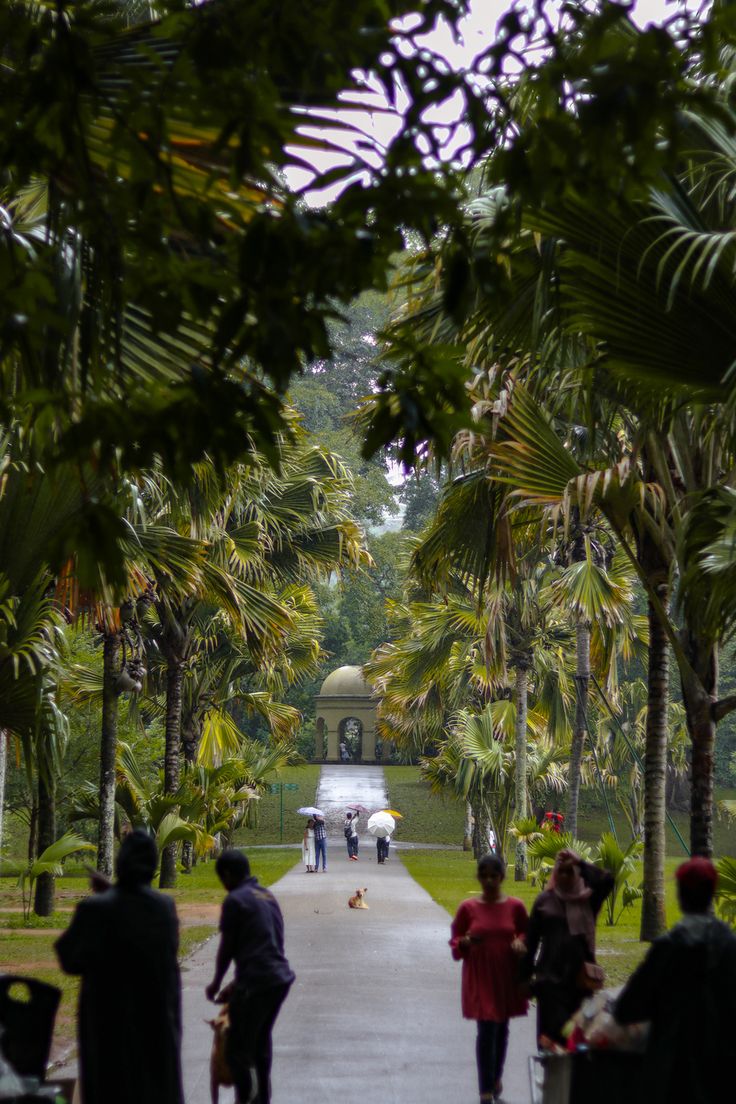 Kandy Lake scenic perimeter drive & gemstone lapidary tour