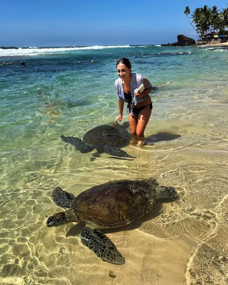 Kosgoda Sea Turtle Hatchery & Colombo city shopping