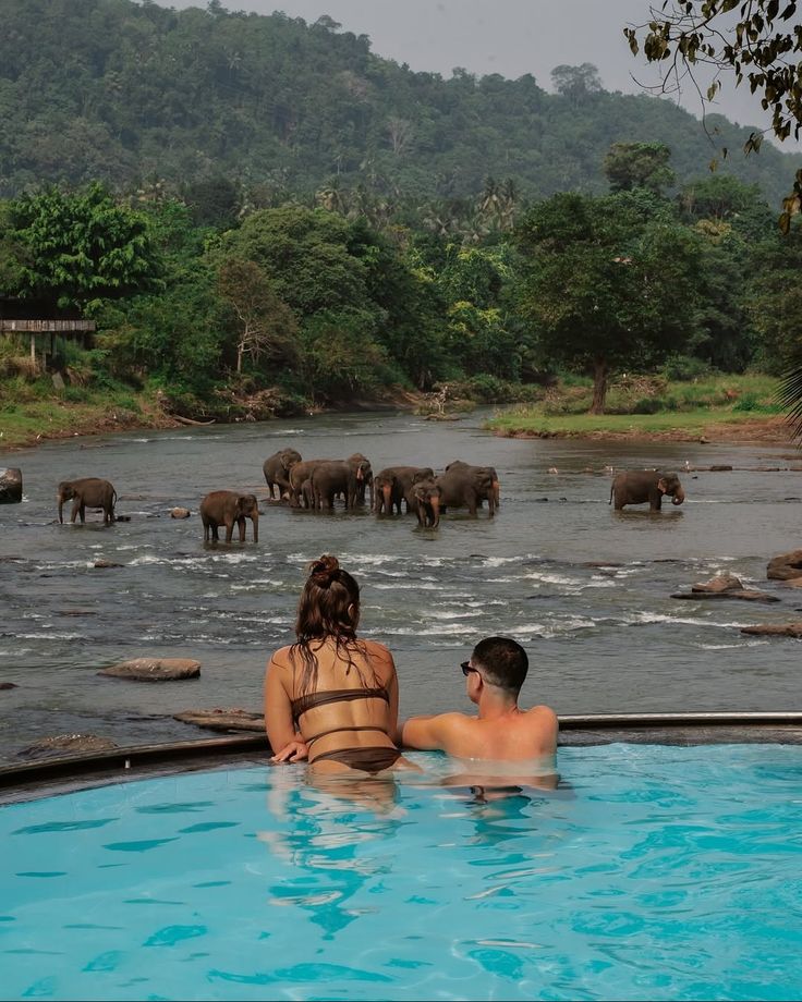 Pinnawala Elephant Orphanage