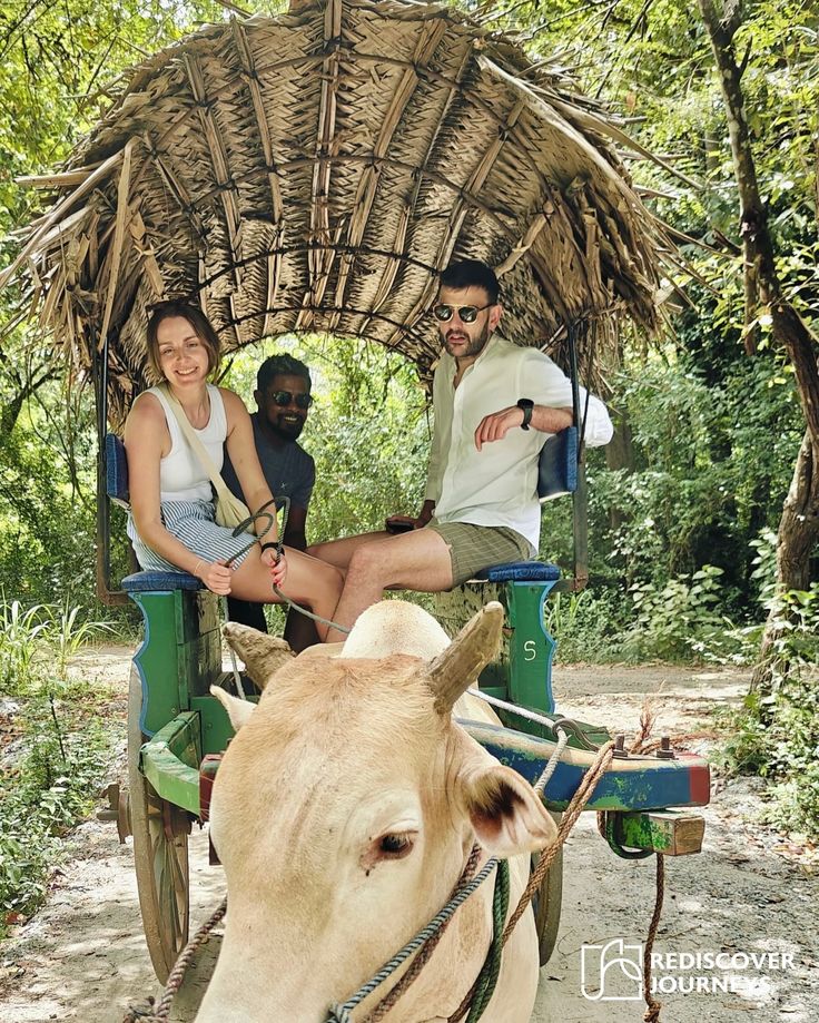 Habarana village trek via traditional bullock carts