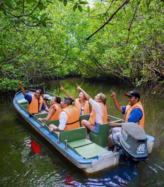Madu River high-speed mangrove boat handling