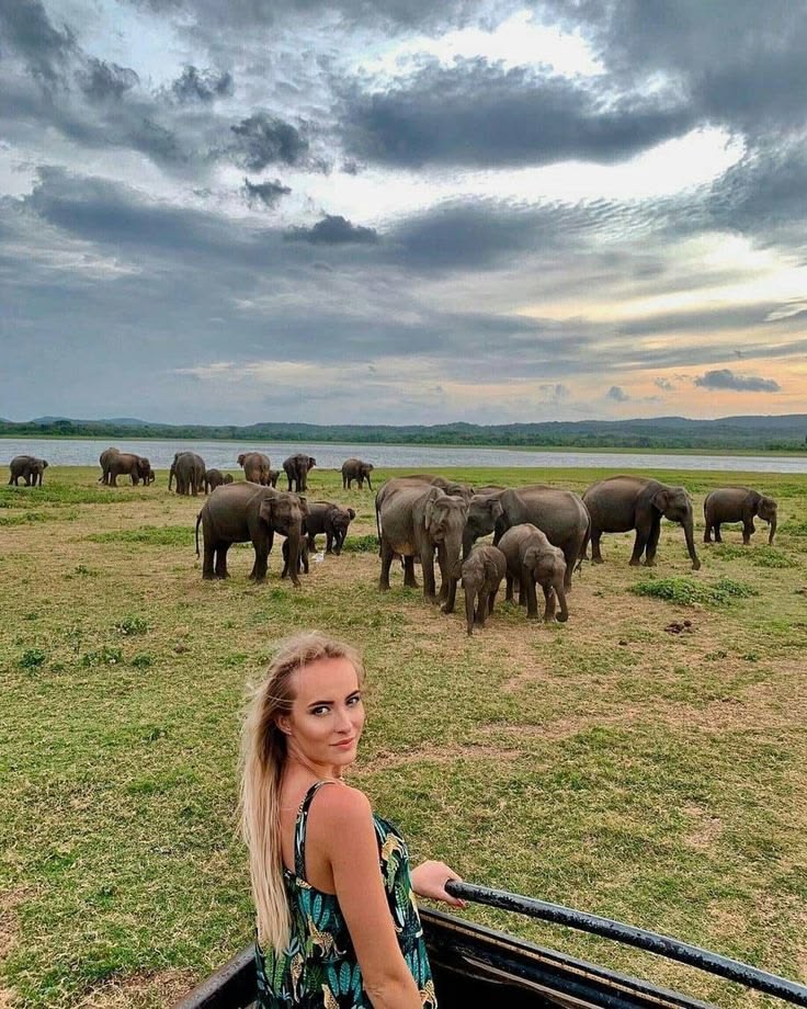 Tangalle to Yala by Scooter: Wild Elephants and Highway Rules