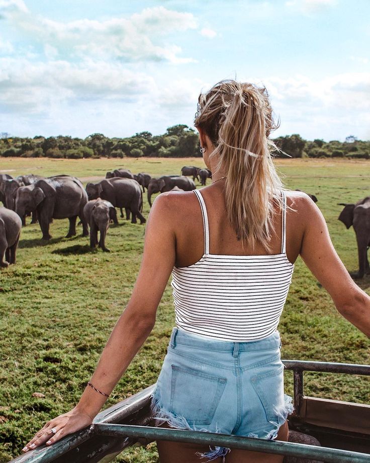 Tangalle to Yala by Scooter: Wild Elephants and Highway Rules