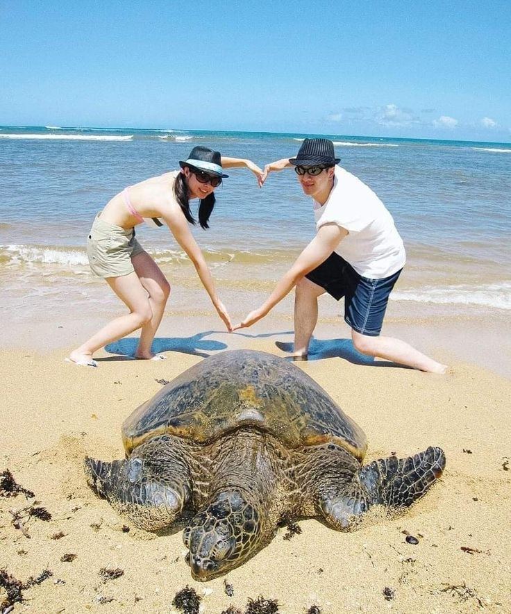 Nilaveli and Pasikudah: The Ultimate Calm Luxury Resorting Guide