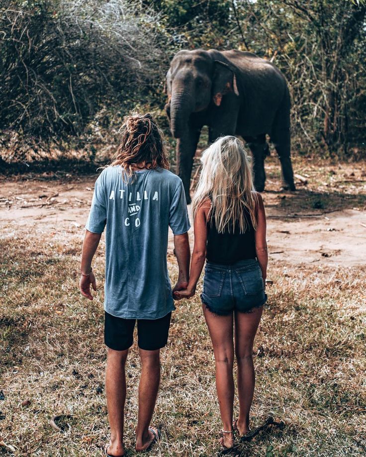 Tangalle to Yala by Scooter: Wild Elephants and Highway Rules