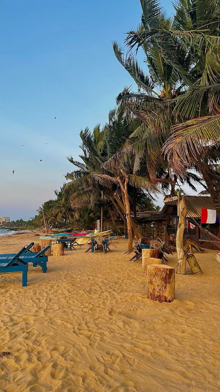Negombo Beach Lagoon: Ideal First or Last Night Transit Stops