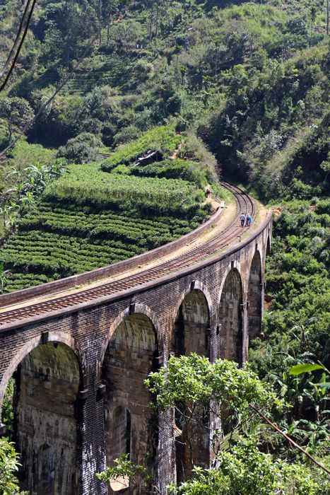 Hiking Past the Nine Arches: The Secret Demodara Loop Trail