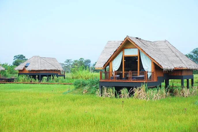 Curated Luxury Stays