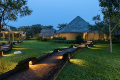 Curated Luxury Stays