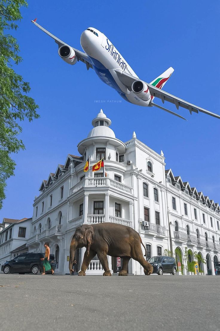 Airport Transfer