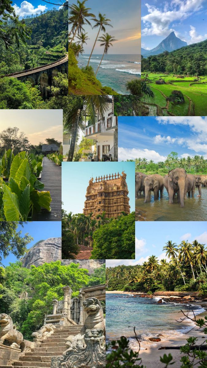 07 Days Sri Lanka Tour Itinerary – Highlight Escape