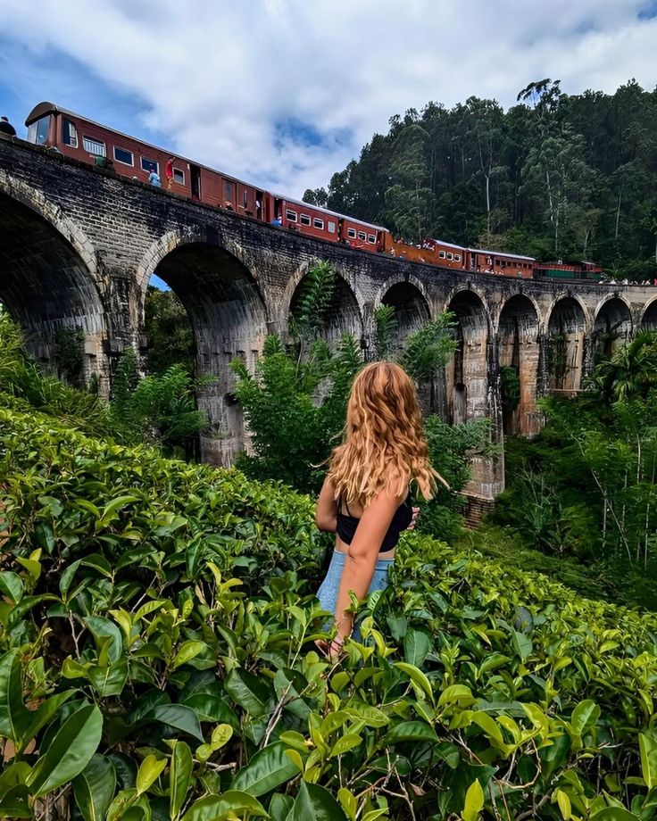 Best of Sri Lanka Perfect Escape for Families & Couples 11 Days, 10 Nights